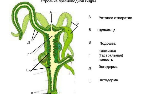 Кракен актуальные: инструкция